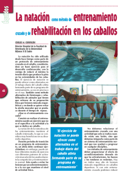 4243Natacion