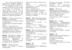 Bot&aacute;nica b&aacute;sica