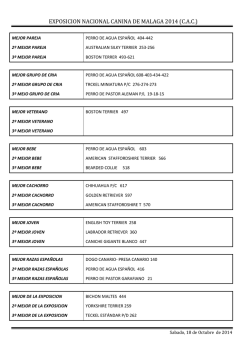 finales absolutas cac malaga 2014 - Lanca