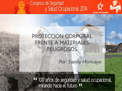 Protecci&oacute;n Corporal Frente a Materiales Peligrosos / Sandy Moncayo