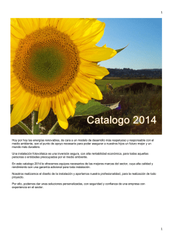 Hoy por hoy las energ&iacute;as renovables, de cara a un modelo de