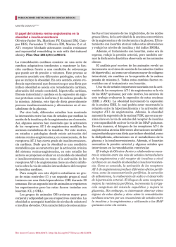 El papel del sistema renina-angiotensina en la obesidad e