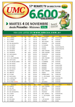 Orden 04-11 - UMC SA