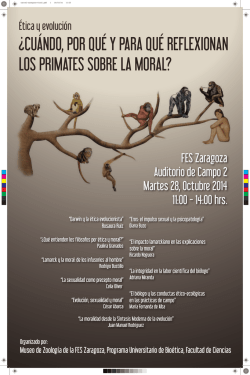 jornada fundaci&oacute;n madrid por el deporte