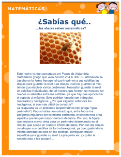 &iquest;Sab&iacute;as qu&eacute;.. - Educatrachos