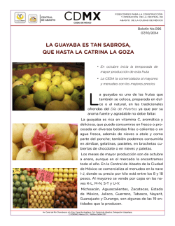 &iexcl;CEDA te invita a consumir - Central de Abasto