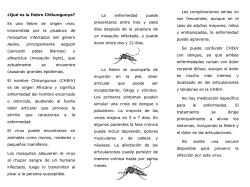 Abrir triptico informativo (pdf)