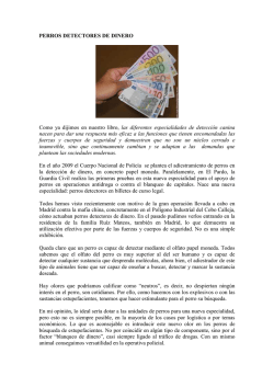 Perros Detectores de Dinero - Perros detectores de Sustancias
