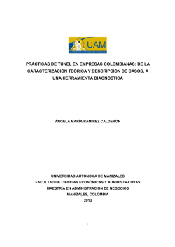 PR&Aacute;CTICAS DE T&Uacute;NEL EN EMPRESAS COLOMBIANAS.pdf