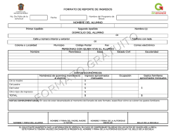 FORMATO DE REPORTE DE INGRESOS NOMBRE DEL ALUMNO
