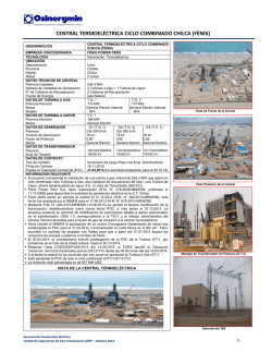 CENTRAL TERMOEL&Eacute;CTRICA CICLO COMBINADO CHILCA (F&Eacute;NIX)
