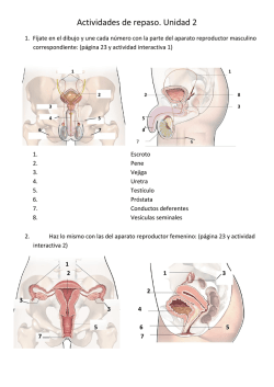 Actividades de repaso. Unidad 2