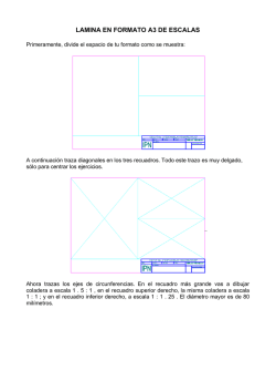 LAMINA EN FORMATO A3 DE ESCALAS - CECyT 3