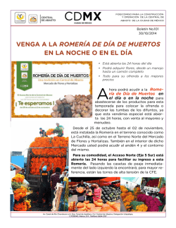 101 - Central de Abasto