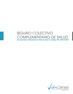 SEGURO COLECTIVO COMPLEMENTARIO DE - Vida C&aacute;mara