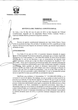 11111111 IIIIIIIIEII11I1lt - Tribunal Constitucional del Per&uacute;