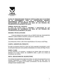 Pliego t&eacute;cnico