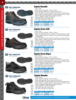 6 Zapato Dunedin Zapato Arena Caf&eacute; Zapato Arena Negro Zapato