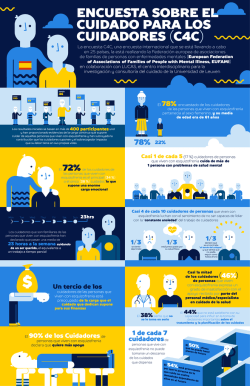 Acceso al resumen - Feafes