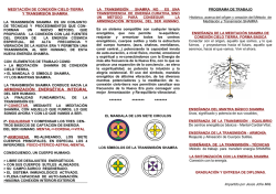 en pdf - Foro Acce