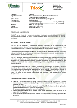 ficha t&eacute;cnica - Silvestre