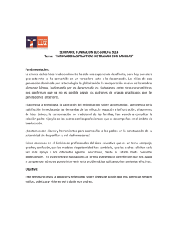 SEMINARIO FUNDACI&Oacute;N LUZ-SOFOFA 2014 Tema