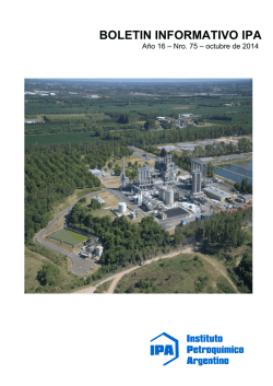 Bolet&iacute;n N&deg; 75 - IPA