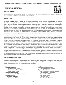 Guia 16 Bloque III - Facultad de Ciencias-UCV - Universidad Central