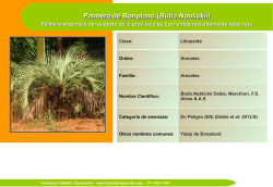 Palmera de Bonpland (Butia Noblickii) - Fundaci&oacute;n H&aacute;bitat