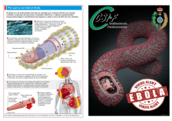32 - Virus del &Eacute;bola.pdf - Csi-f