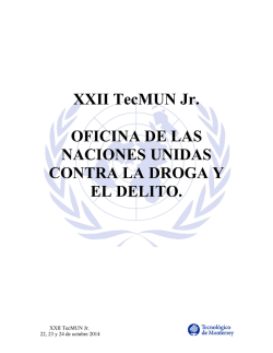 Handbook para Delegados - TecMUN