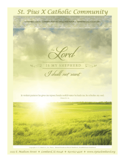 Sistema de Evaluaci&ograve;n