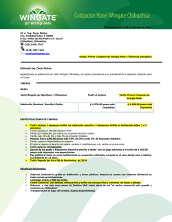 bases director/a y monitor/a te convento iii