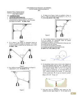 Radicheta con champagne