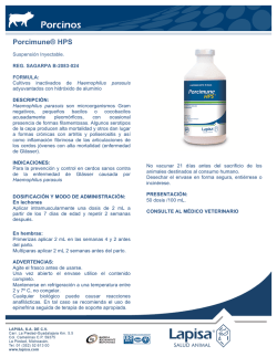 REGULARIZACION DE HABILITACION URBANA EJECUTADA