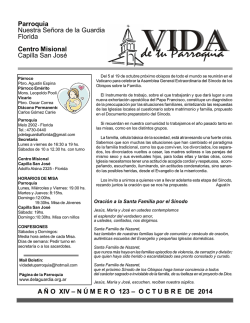 Minifijador externo.