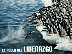 Ambig&uuml;edad- DDLP