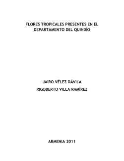 korte di apelashon ta konfirm&aacute; sentensia zambezi