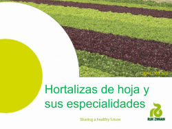 Cytotec ^ Misoprostol Stada, Muerte Por Misoprostol