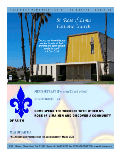 El `caso P&uacute;nica` alcanza a una jefa de la campa&ntilde;a de Aguirre