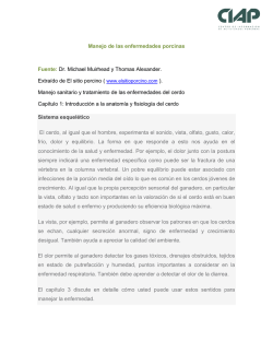 Santa|15 - Turismo Provincia de Buenos Aires