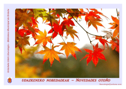 CAS Nro. 025-2015-MINCETUR/VMT