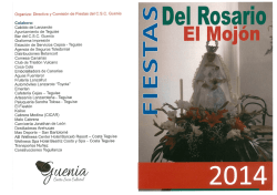 DL 1000 V-Strom / Edici&oacute;n 31