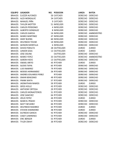 soib - Sistema Nacional de Empleo.