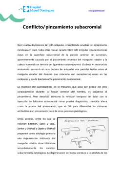 Cat&aacute;logo - formato PDF - El experto en Acompa&ntilde;amiento Cu&aacute;ntico
