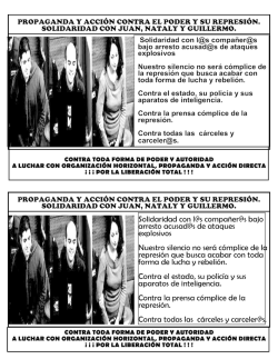 Electrolizador Alcalino de Alta Presi&oacute;n