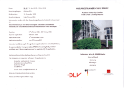 Pesada roca casi mata a 6 personas