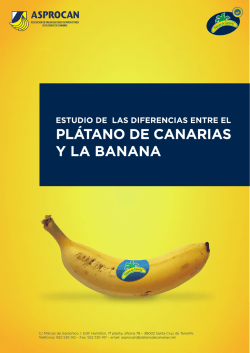 Presentaci&oacute;n de PowerPoint