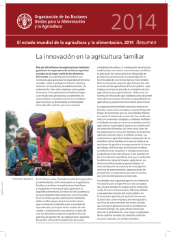 Fiestas de - Colegio San Jos&eacute;