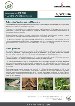 Coordinaci&oacute;n General de Financiamiento y Gesti&oacute;n de la